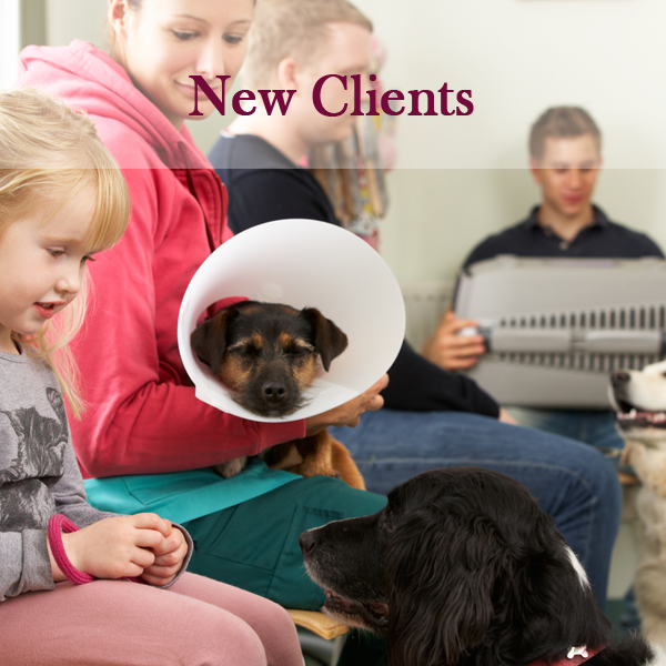 People with pets - New Clients