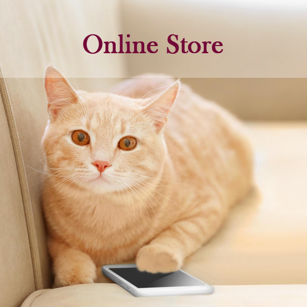 Cat with phone - Online Store