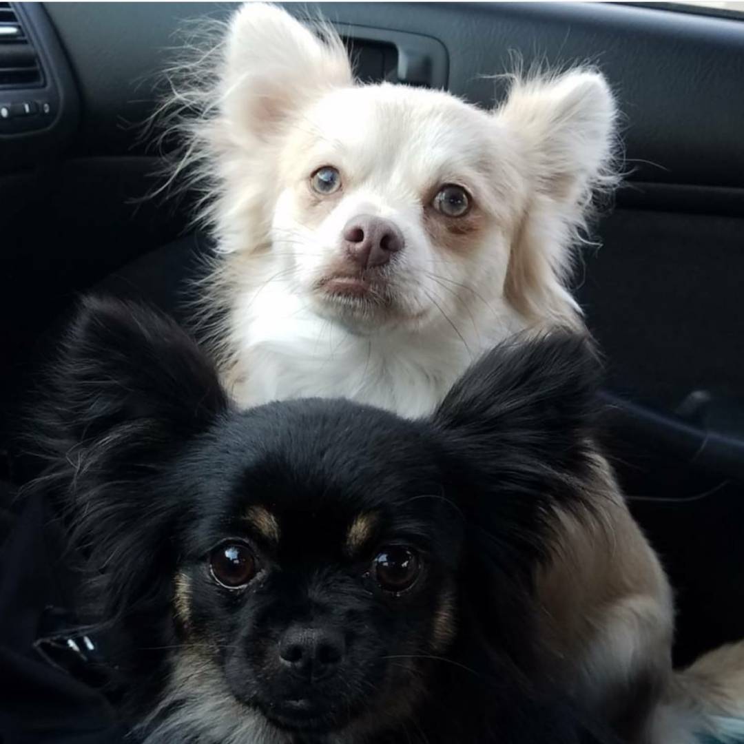maya-and-caesar