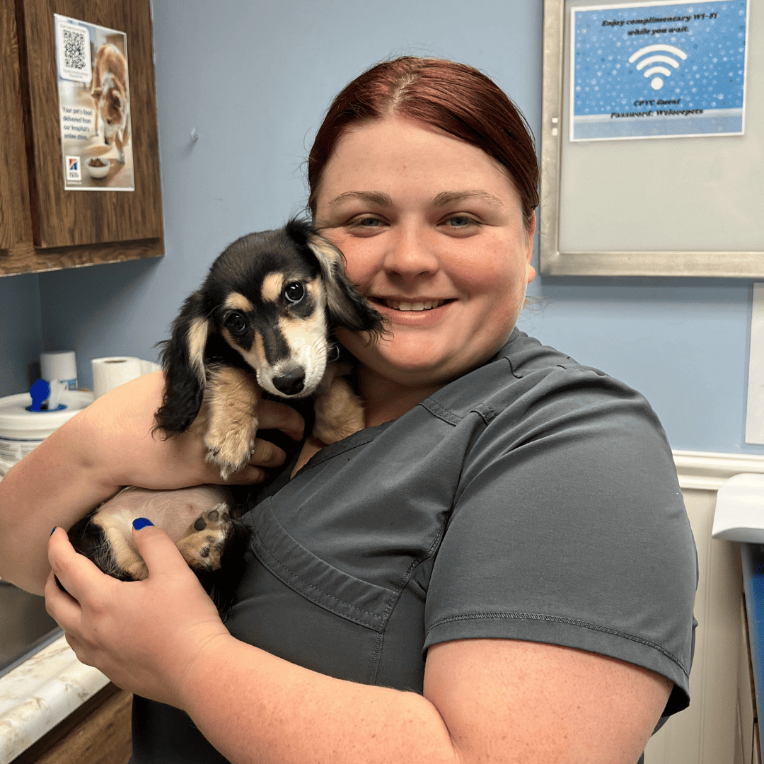 woman holding a tiny puppy at the veterinary clinic